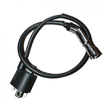 Arora Freedom 50  Ateşleme Bobi̇ni̇ (Euro 5)